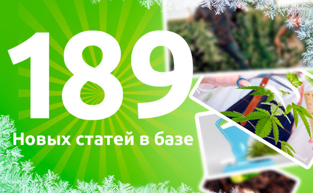 Постоянно обновляемые статьи о выращивании