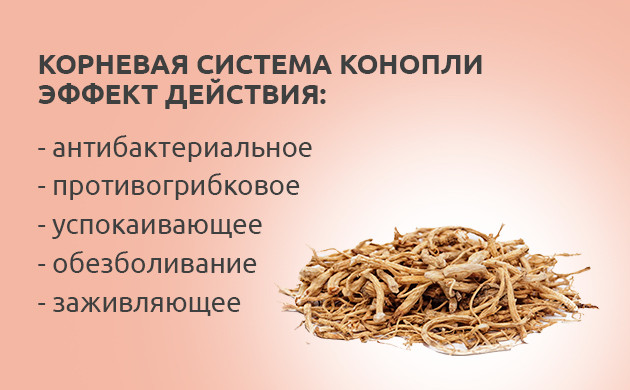 Действие корневой системы конопли