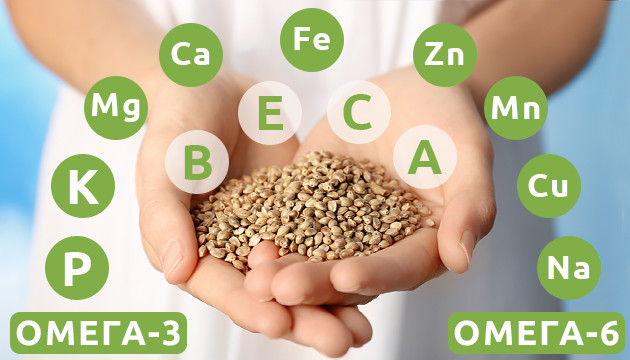 Состав семян конопли В семенах конопли содержится ОМЕГА 3 и ОМЕГА 6