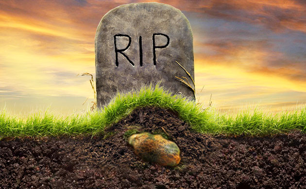 Причины гибели семян конопли Смерть конопляного семени