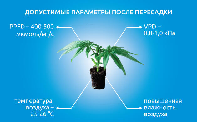 Критический этап