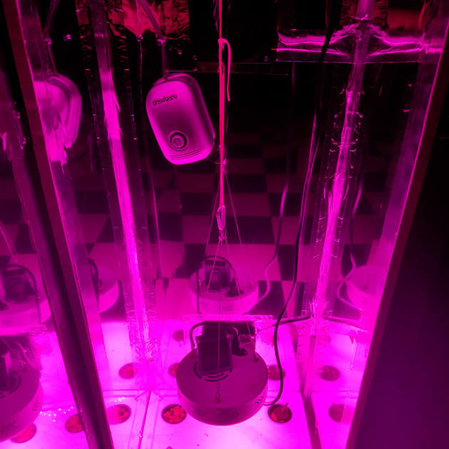 Выращивание на гидропонике Гидропонная установка