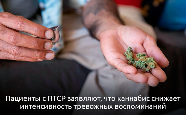 ПТСР и каннабис