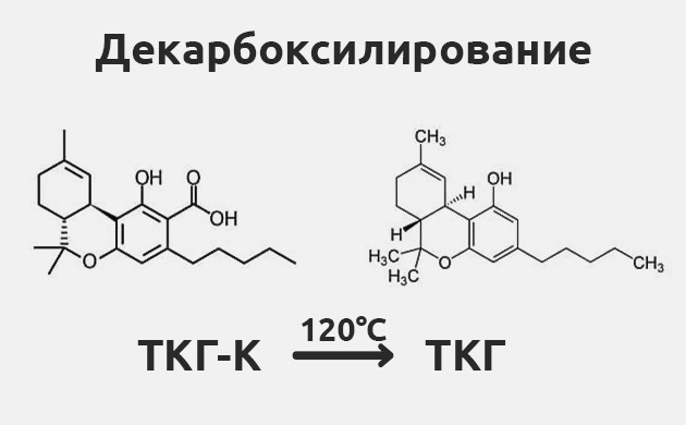 Декарбоксилирование: ключевой этап приготовления каннабиса