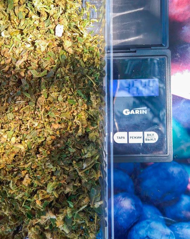 Харвест Pharaoh Auto