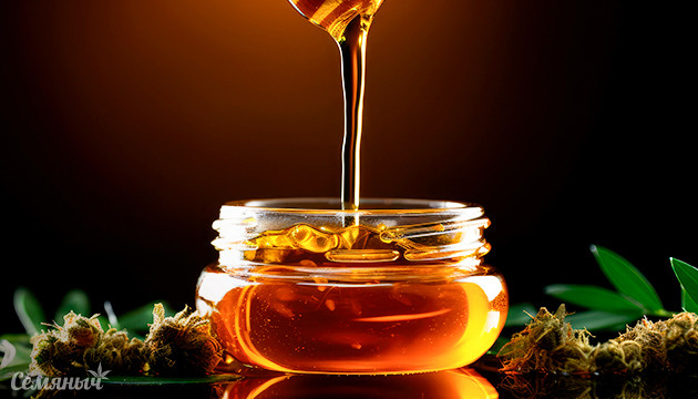 Все о гашише без растворителей Никка Ти и его экстракты без растворителей