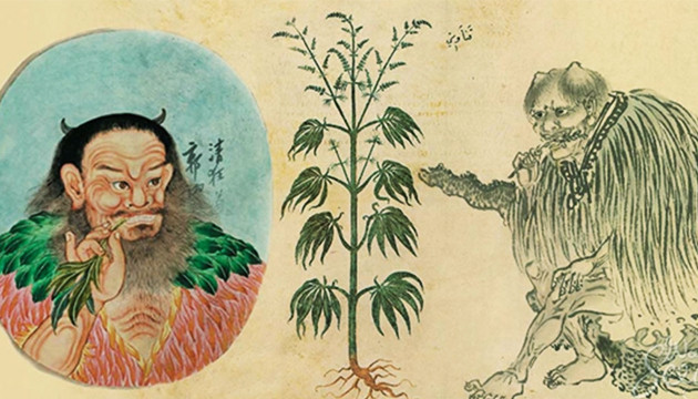 Семена конопли в истории и религии История конопляных семян