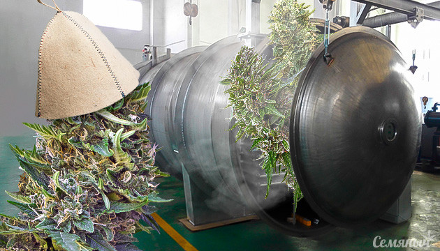 Сушка урожая в сублимационном аппарате