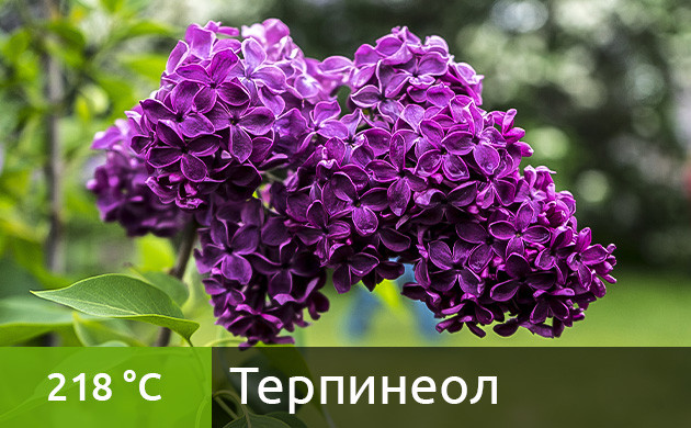 Оптимальная температура для вейпинга терпинеола (218 °C) Рекомендуемая температура нагрева для терпинеола в вейпе (218 °C)