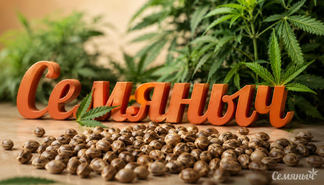 Новинки от Семяныча
