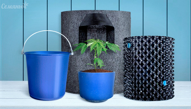 Выбор горшка для выращивания конопли Горшки для выращивания