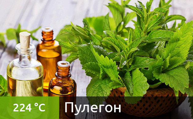 Оптимальная температура для вейпинга пулегона (224 °C) Рекомендуемая температура нагрева для пулегона в вейпе (224 °C)