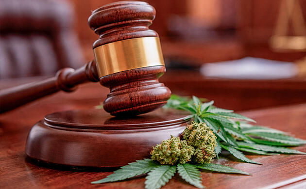 Разрыв между наукой и реальностью