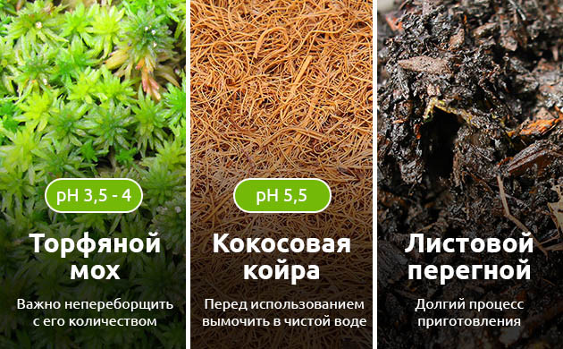 Из чего смешать почвосмесь для марихуаны