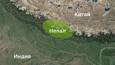 В Гималайских горах растут все виды конопли Кольцо Аннапурны