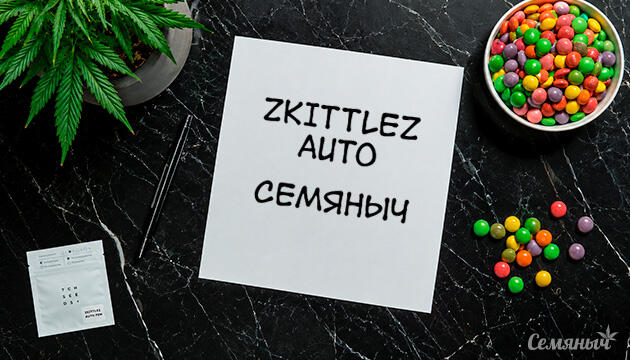 Гроурепорт сорта Zkittlez Auto fem от Семяныча