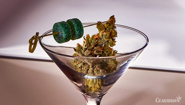 Зиллениалы выбирают каннабис: новый отчет Потребительские предпочтения меняются: Зиллениалы и каннабис