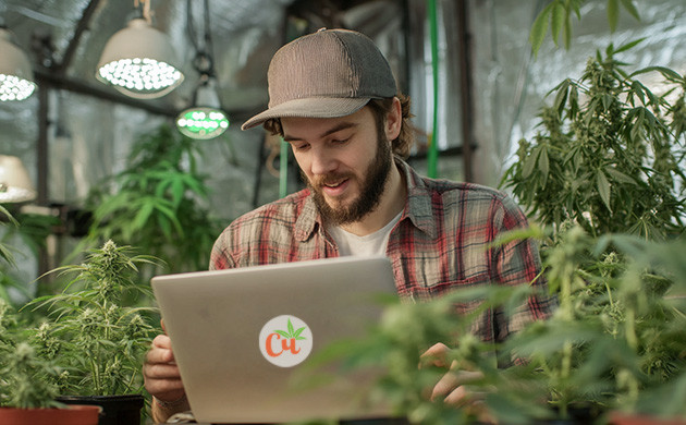 Сообщество гроверов: делимся опытом Обучение через общение с гроверами