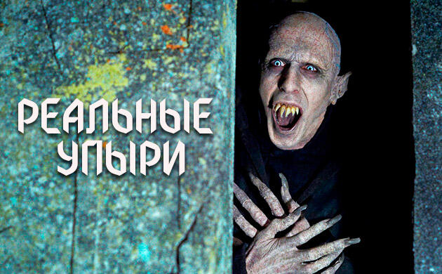 Киновечер с Семянычем: Реальные упыри (What We Do in the Shadows, 2014)