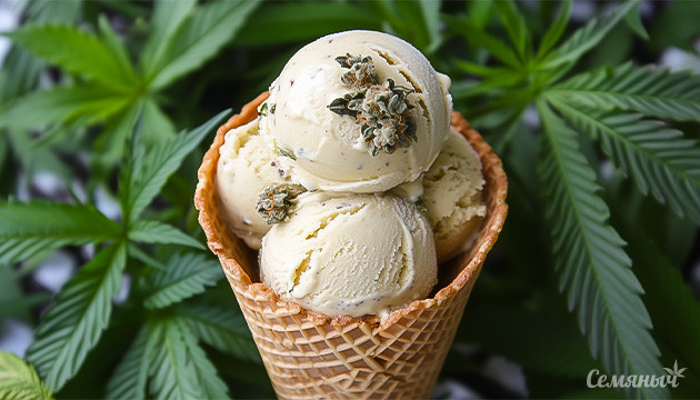 Варианты канна-мороженого От пломбира до канна-джелато