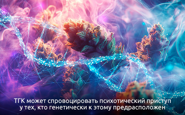 Психические расстройства и каннабис