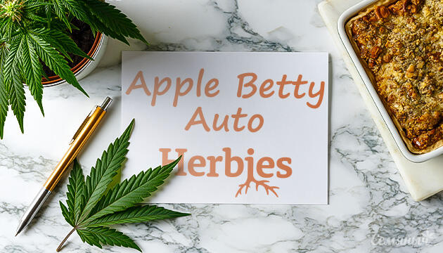 Гроурепорт сорта конопли Apple Betty Auto от Herbies Seeds