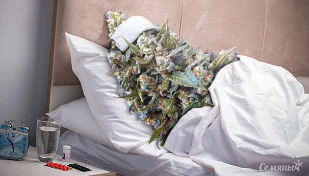 Распространенные болезни конопли