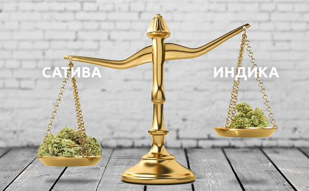 Разница урожайности