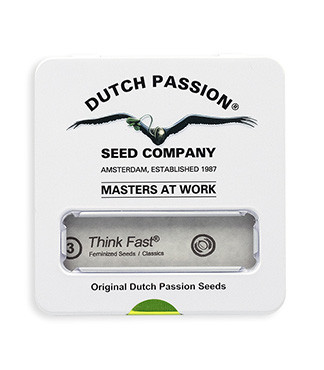 Think Fast fem (Dutch Passion)