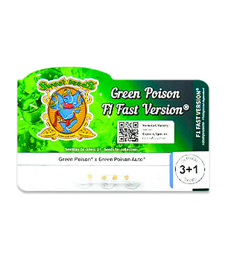 Green Poison F1 Fast Version fem (Sweet Seeds)