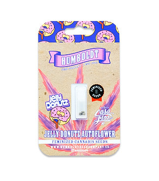 Jelly Donutz Auto fem (Humboldt Seed Company)