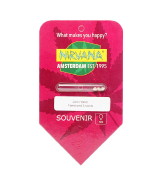 Jock Horror fem (Nirvana Seeds)