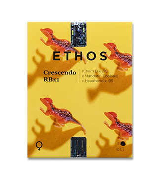 Crescendo RBX1 fem (Ethos Genetics)