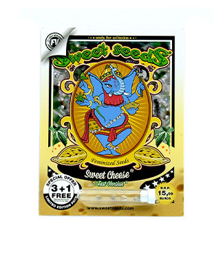 Sweet Cheese F1 Fast Version fem (Sweet Seeds)