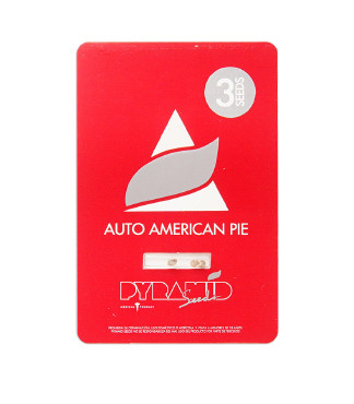 Auto American Pie fem (Pyramid Seeds)