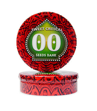 Sweet Critical fem (00 Seeds)