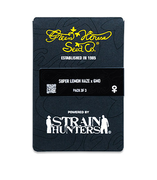Super Lemon Haze x GMO fem (GHS)