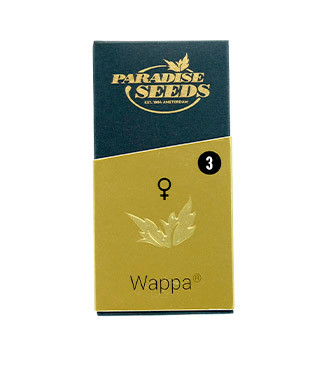Wappa fem (Paradise Seeds)