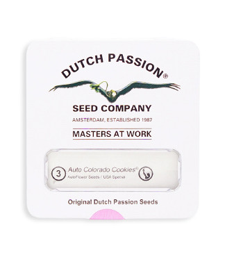 Auto Colorado Cookies fem (Dutch Passion)