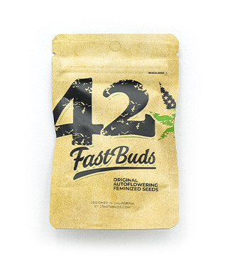 Original Blueberry Auto fem (FastBuds)