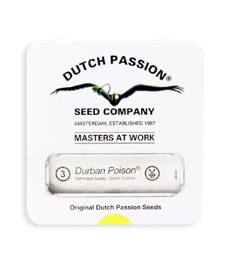 Durban Poison fem (Dutch Passion)
