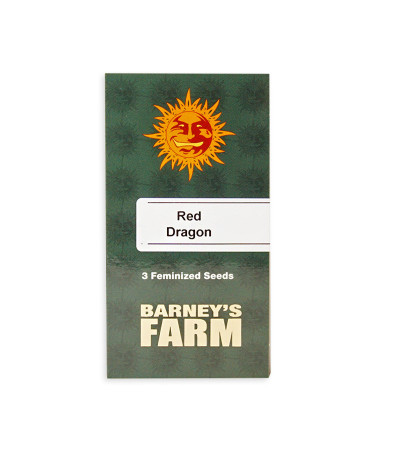 Семена сорта Red Dragon fem