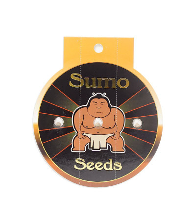Семена сорта Zombie Haze fem (Sumo Seeds)