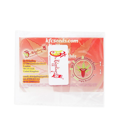 Семена сорта Night Night fem (KFC Seeds)