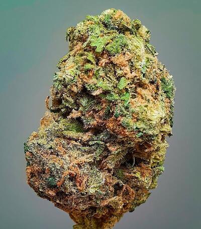 Семена сорта LA Confidential Autoflower fem (Семяныч)