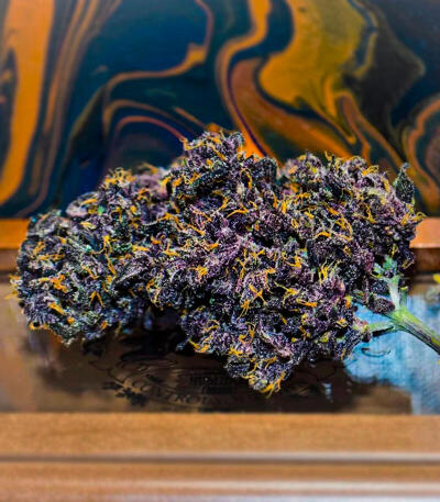 Семена сорта Green Poison Auto fem (Семяныч)