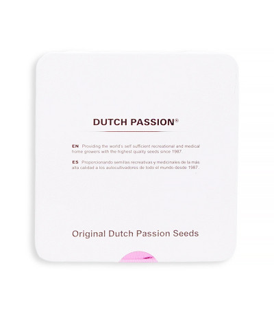 Семена сорта Auto White Widow fem (Dutch Passion)