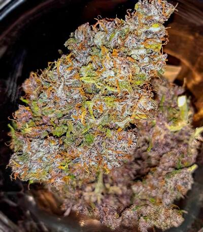 Семена сорта Green Poison Auto fem (Семяныч)