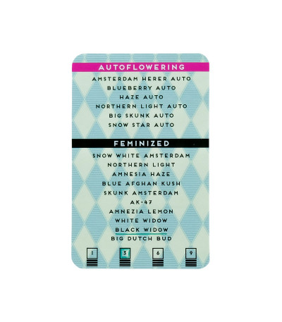 Семена сорта конопли Black Widow