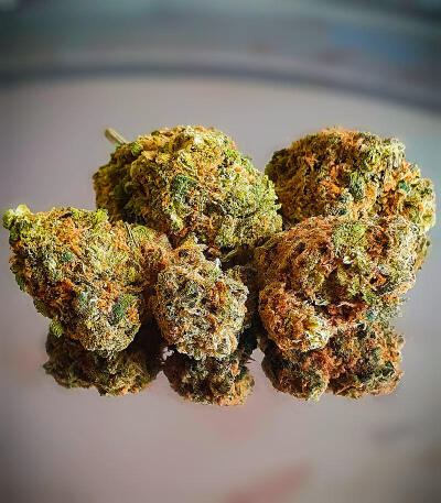 Семена сорта LA Confidential Autoflower fem (Семяныч)